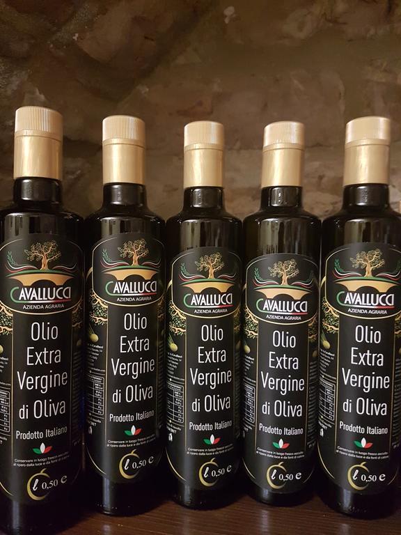 Hotel Ponte San Vittorino アッシジ エクステリア 写真